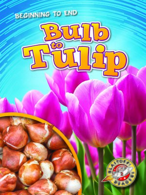 cover image of Bulb to Tulip